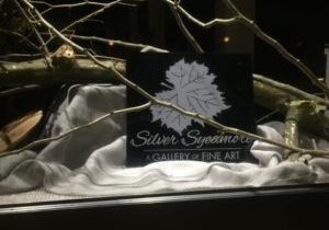 Silver Sycamore