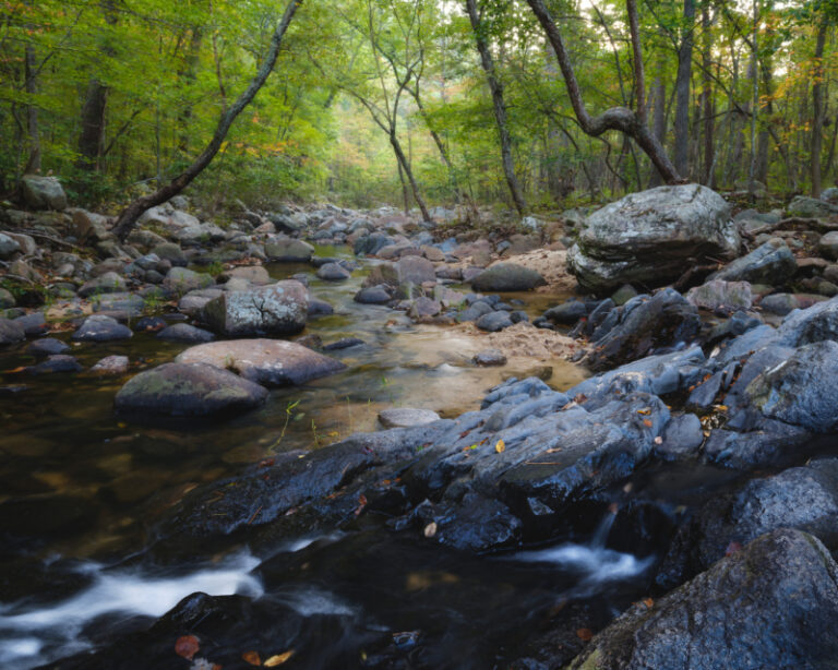 Becker 01 Golden Morning pickle creek at hawn 768x614