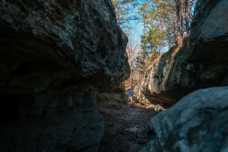large Pickle Springs Natural Area 2 768x512