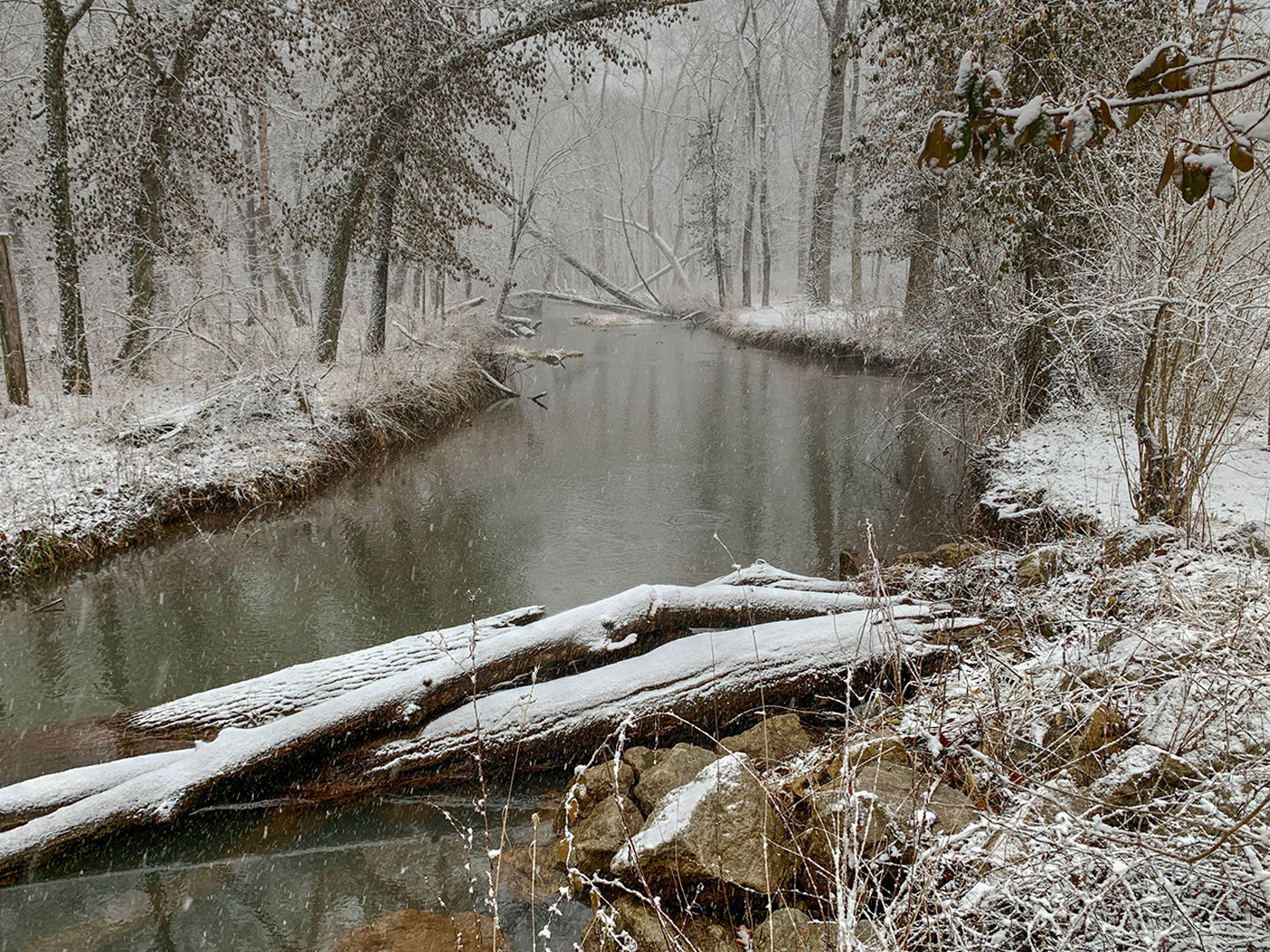 Winter in Ste. Geneviéve, Missouri.