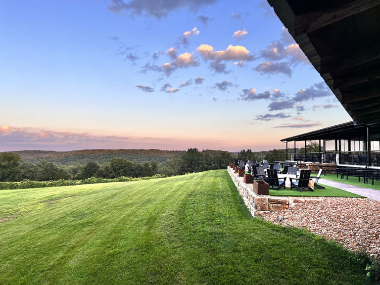 IMG 6532 copy 768x576