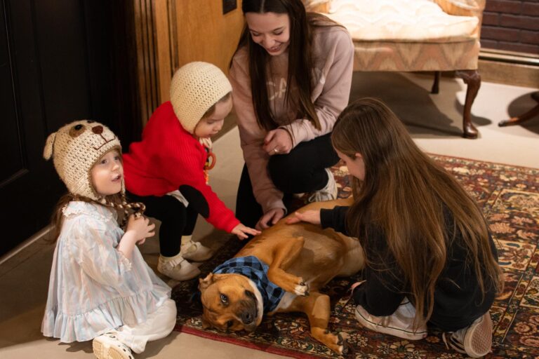 494262960 1231203529010213 5177493090724069153 n 768x512