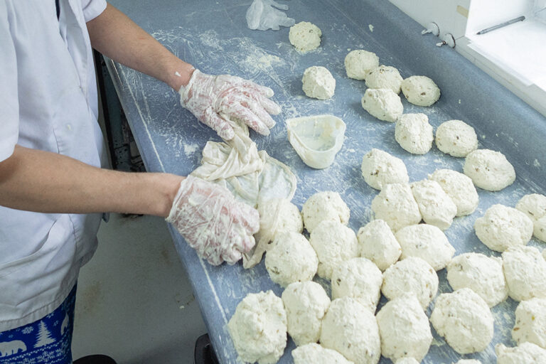 The Artisan Baejte Farms Ashleys Portrait Co. 3355 768x512