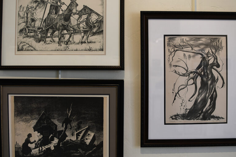 DSC 5087 copy 768x512