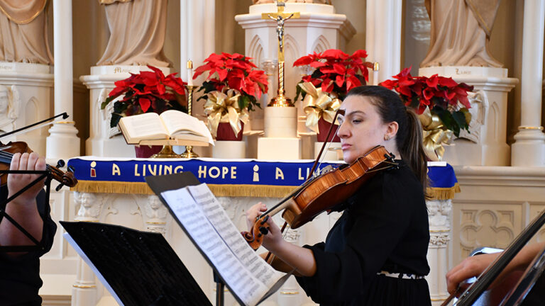 DSC 5016 copy 768x432