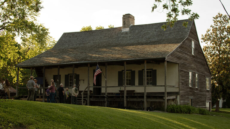 DSC 0082 copy 768x432