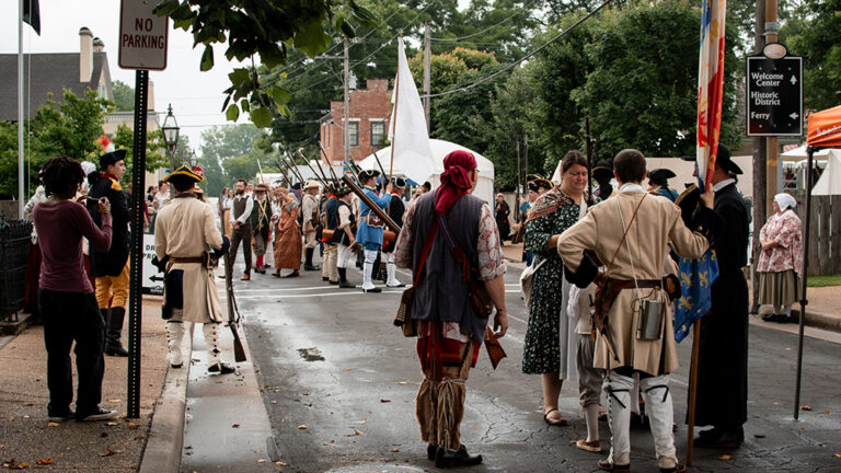 DSC 0494 copy 768x432