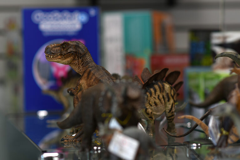 DSC 4351 copy 768x512