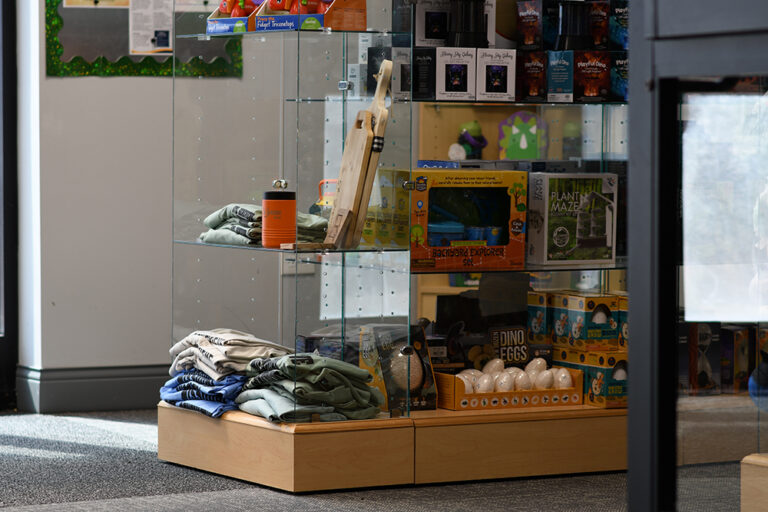 DSC 4379 copy 768x512