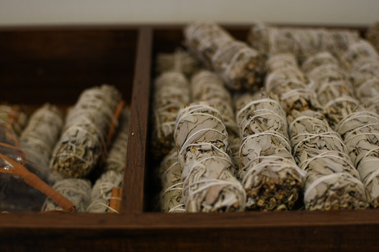 DSC 5205 copy 768x512