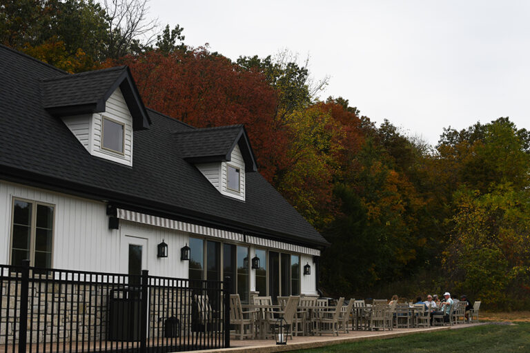 DSC 6484 copy 768x512