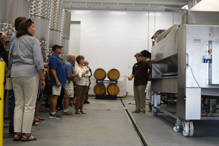 DSC 6502 copy 768x512