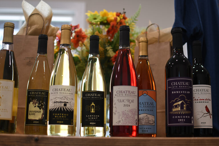 DSC 6550 copy 768x512