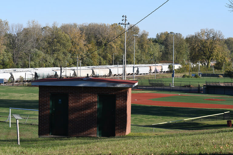 DSC 8030 copy 768x512