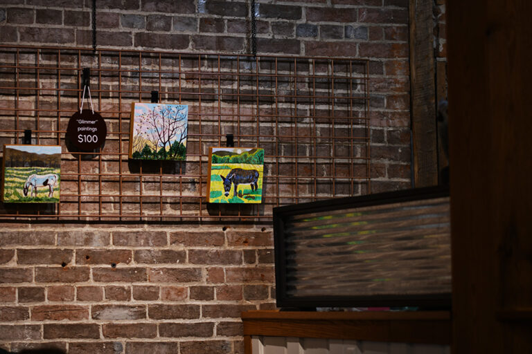 DSC 8261 copy 768x512