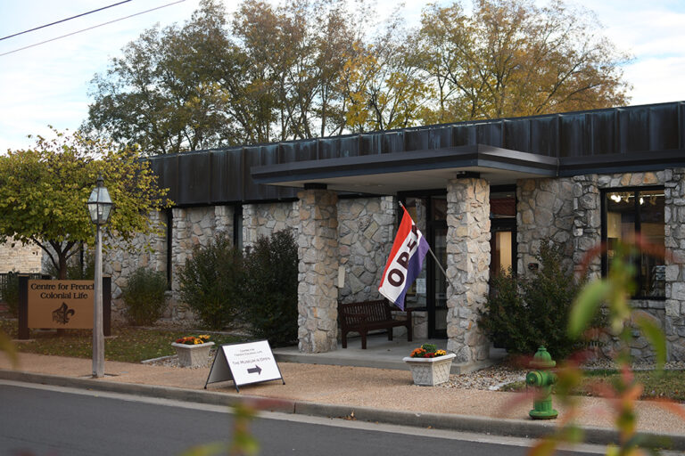 DSC 8678 copy 768x512