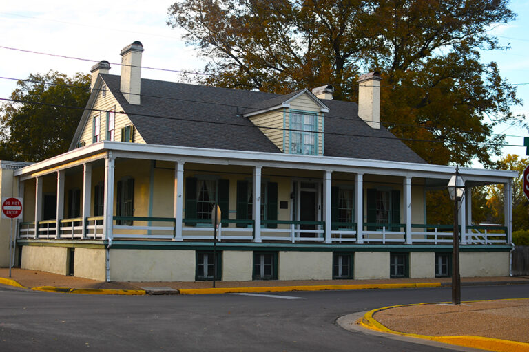 DSC 8682 copy 768x512