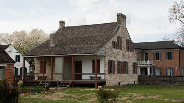 DSC 8825 copy 768x432