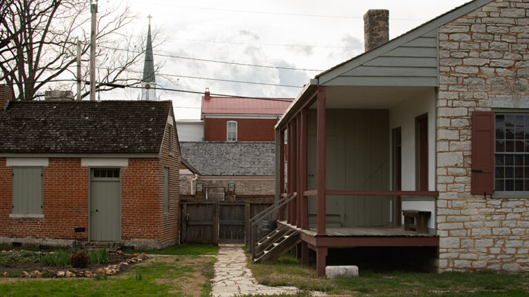 DSC 8831 copy 768x432