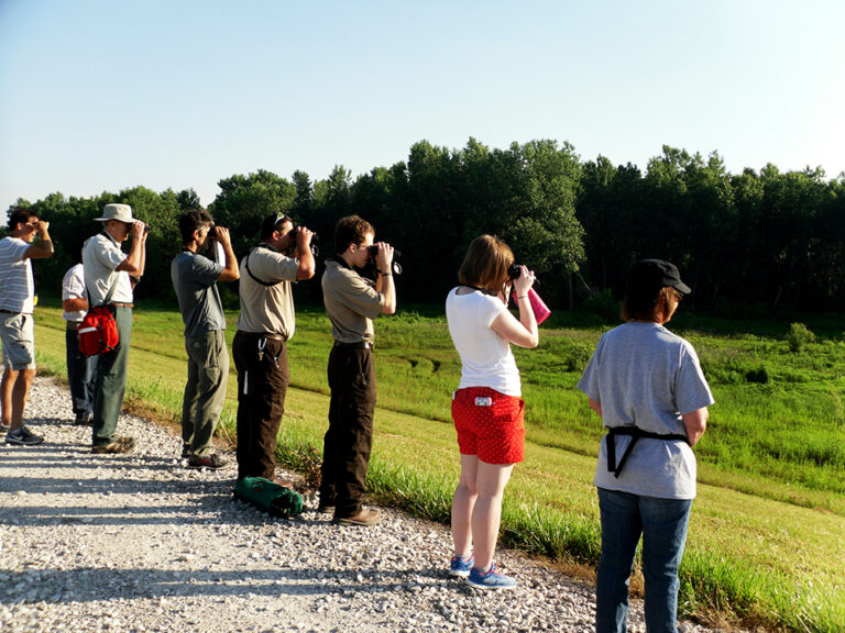 SDC11291 copy 768x576