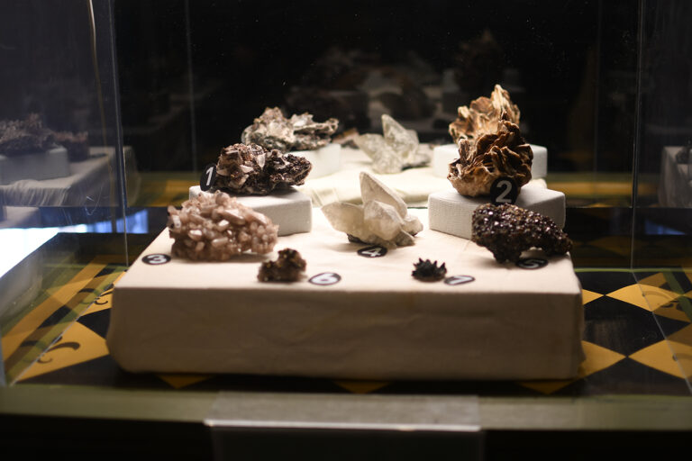 DSC 9077 copy 768x512