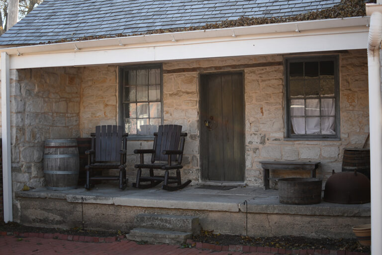 DSC 9093 copy 768x512