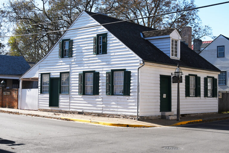 DSC 9108 copy 768x512