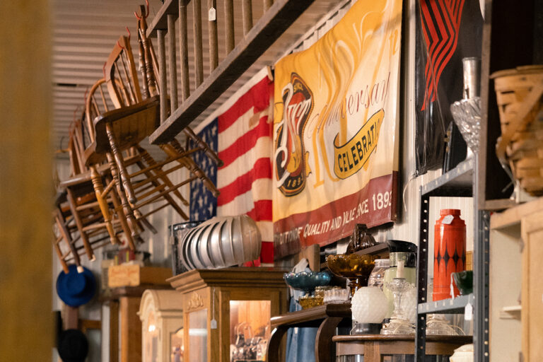 JL3A2570 copy 2 768x512