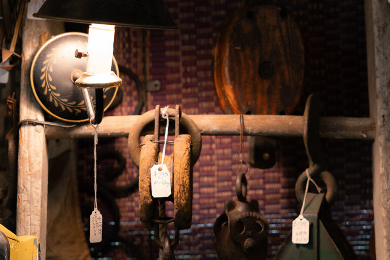 JL3A2631 copy 768x512