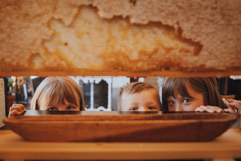 Ste Gen Harolds Famous Honey 7 copy 768x512