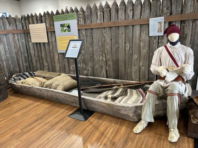 Use Voyageur 768x576