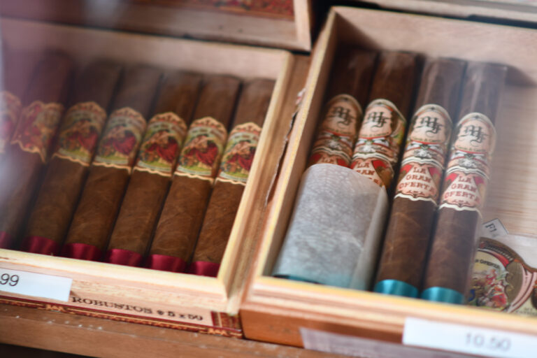 DSC 2591 copy 768x512