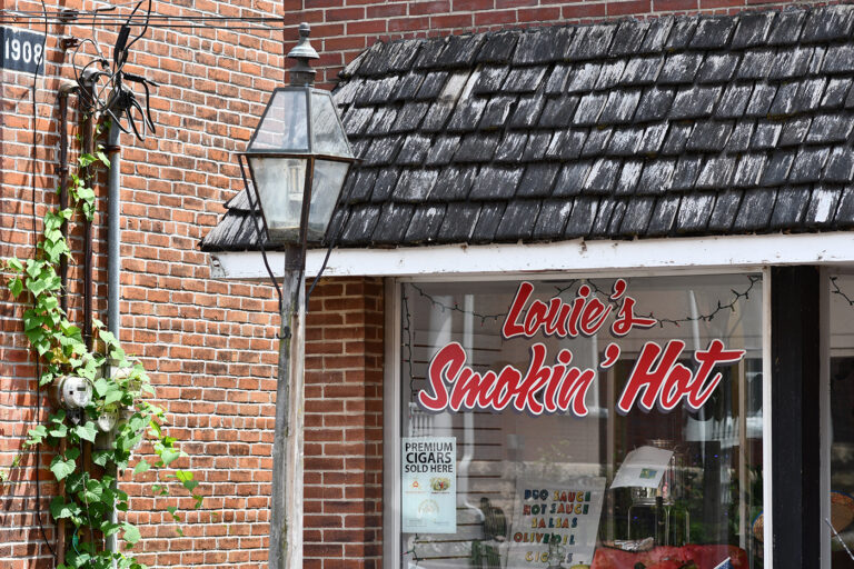 DSC 2622 copy 768x512