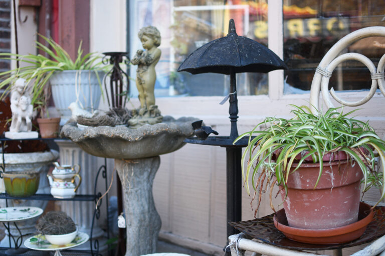 DSC 5569 copy 768x512