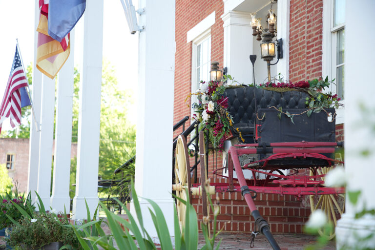 MCD08928 copy 768x512