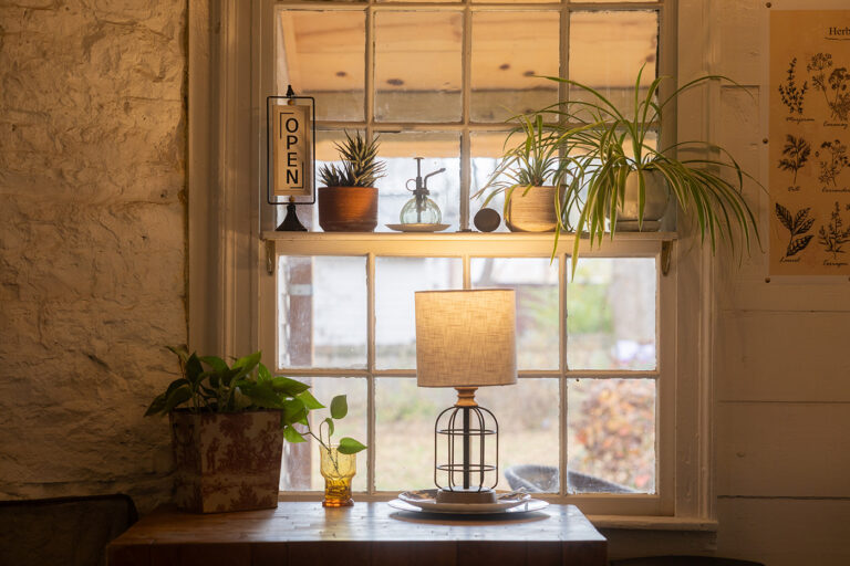 JL3A7225 copy 768x512