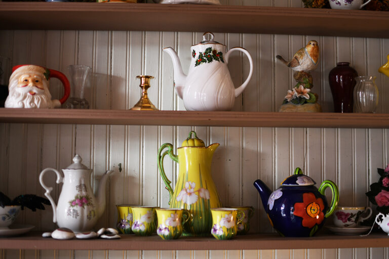 DSC 0469 copy 768x512