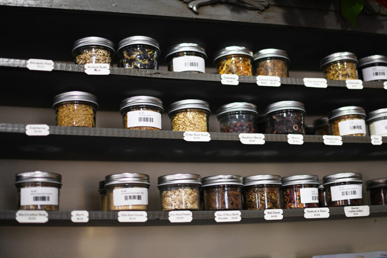 DSC 0537 copy 768x512