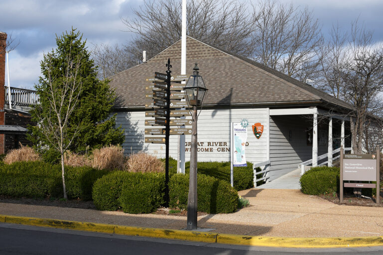 DSC 0559 copy 768x512