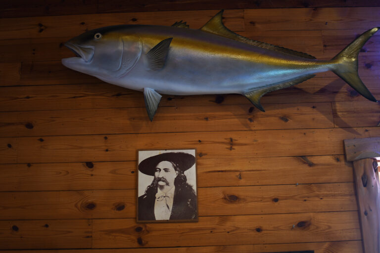 DSC 0651 copy 768x512