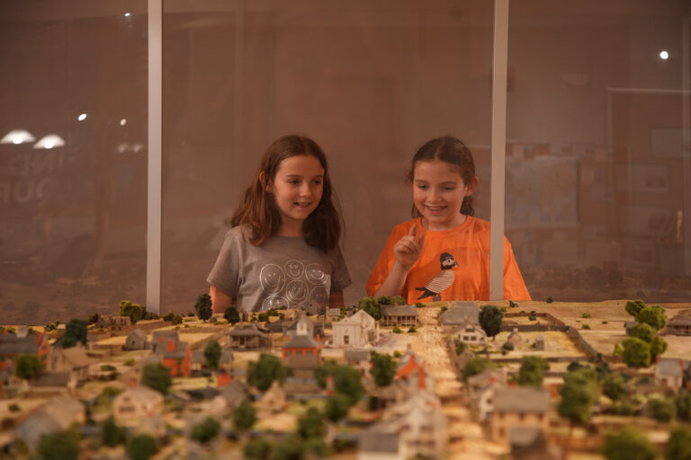 MCD00790 copy 768x512