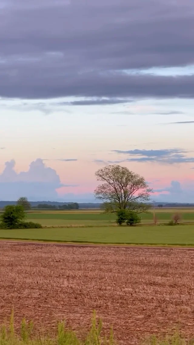 Sunset on the levee. It’s been a wet spring, but it’s given the sky so much texture, and the fields are glowing green.